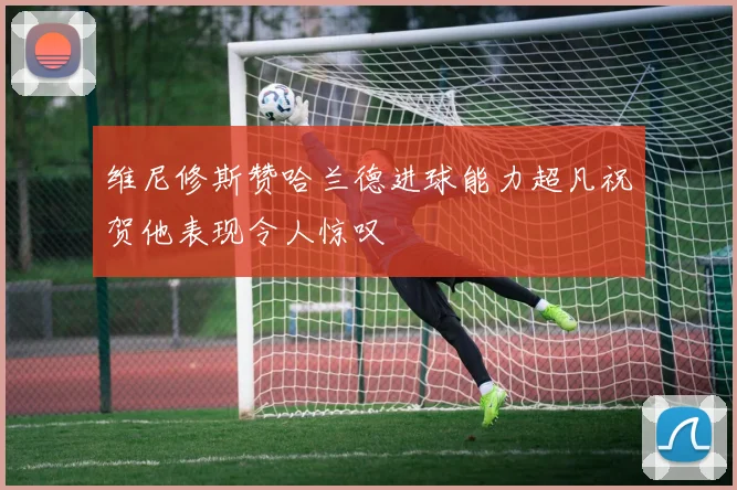维尼修斯赞哈兰德进球能力超凡祝贺他表现令人惊叹